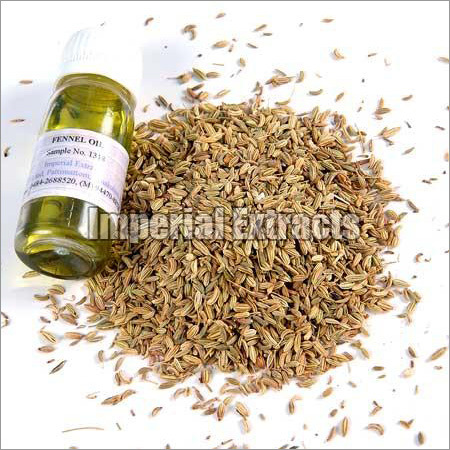 Fennel Seed Oil