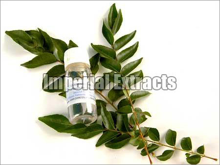 Curry Leaf Oil