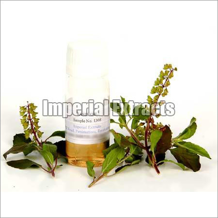 Holy Basil Oil