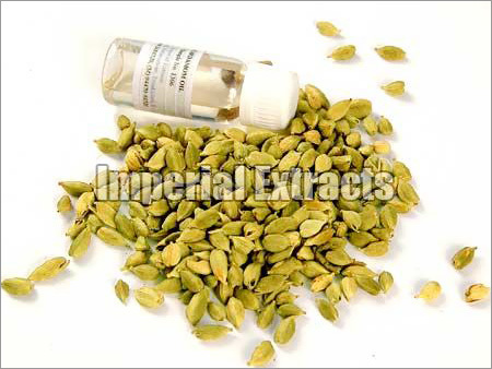 Cardamom Oil