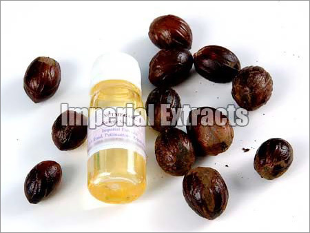 Nutmeg Oil