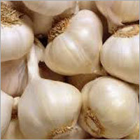 Garlic - Bulb Vegetable, 2-5cm Size Range, White Color | Aromatic, Flavorful, Healthy, Versatile, Moisture Content 60-70%, Mesh Bag Packaging