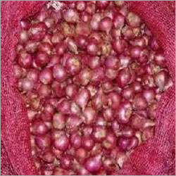 Fresh Red Onion