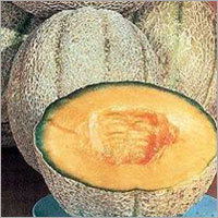 Muskmelon Seeds