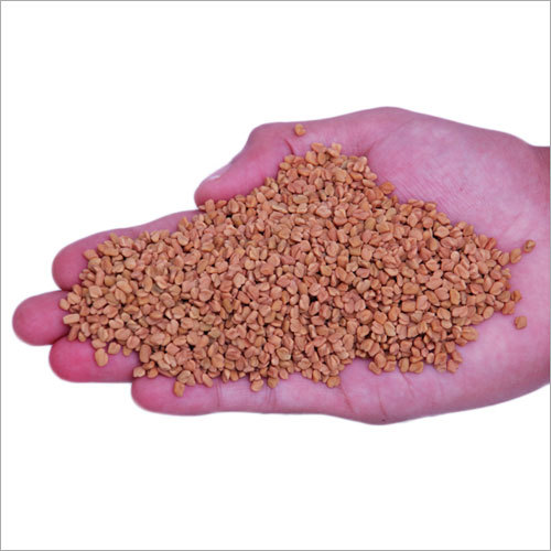 Fenugreek Seeds