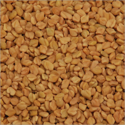 Organic Fenugreek Seeds