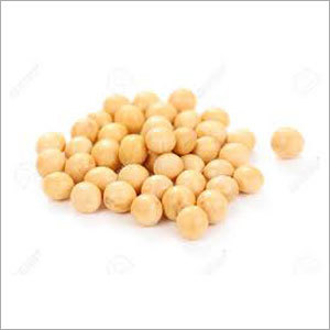Soybean Seed