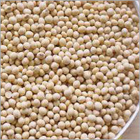 Organic Soybean Seed