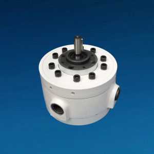 Stainless Steel Radial Piston Double Pumps