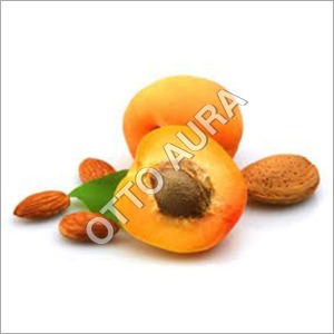 Apricot Oil