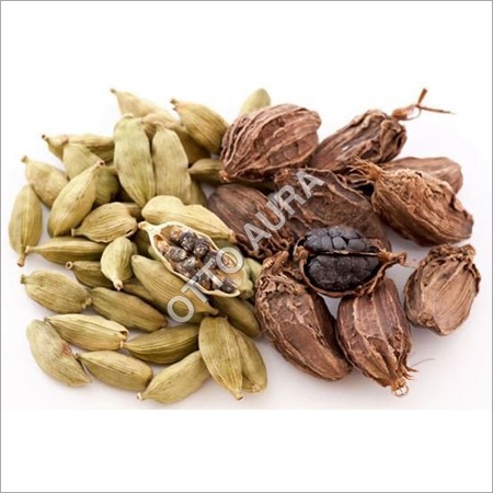 Cardamom Oil