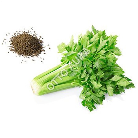 Celery Seed Oil