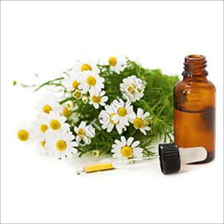 Chamomile Oil