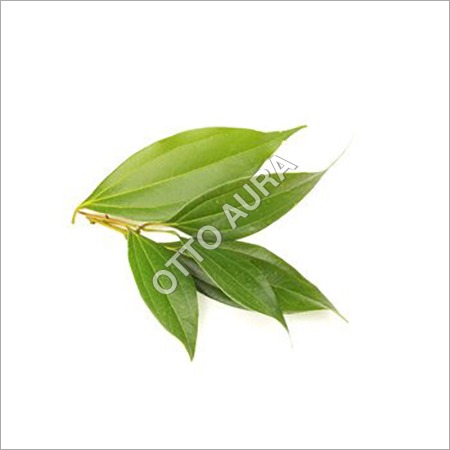 Cinnamon Leaf Oil