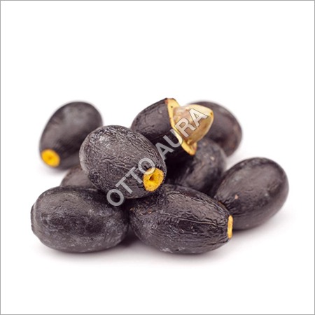 Elemi Oil