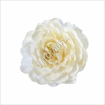 Gardenia Oil