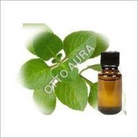 Hyssop Oil
