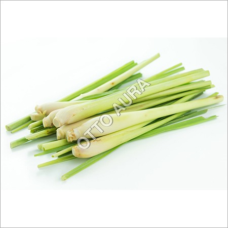 Lemongrass Oil