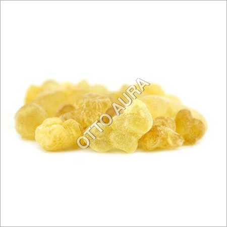 Olibanum Oil