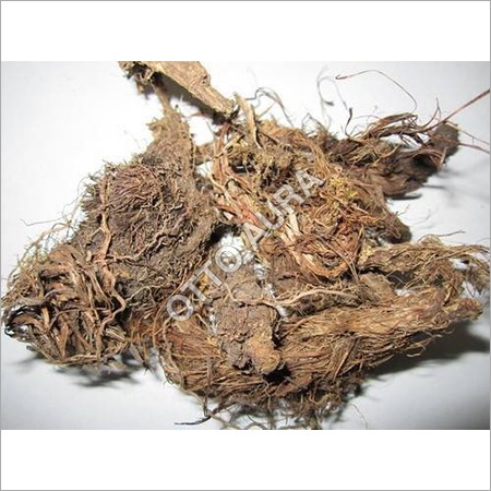 Spikenard Oil