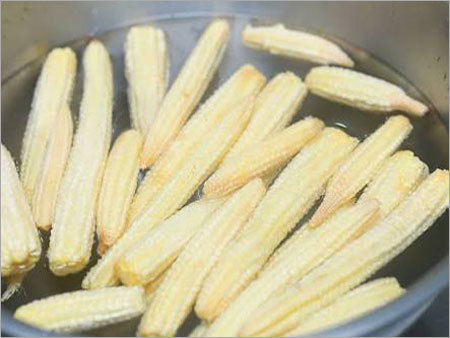 Sweet Corn