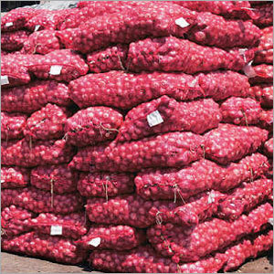 Fresh Red Onion