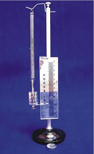Hooke's Law Apparatus - Stainless Steel Rod with Adjustable 12cm Graduated Scale, Slotted Weights Included | Ideal for Laboratory Use