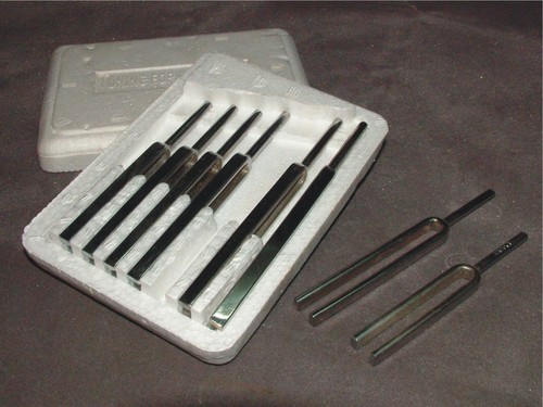 Tuning Forks, Set of 8 - Stainless Steel, Nickel Plated, 256Hz to 512Hz Frequencies | Designed for Laboratory Use, Each Fork Marked with Frequency