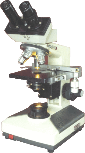 Binocular Research Microscope Magnification: 10X