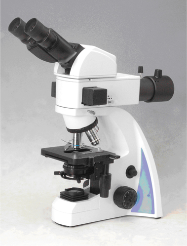 Fluorescence Microscope Magnification: 40X - 1000X