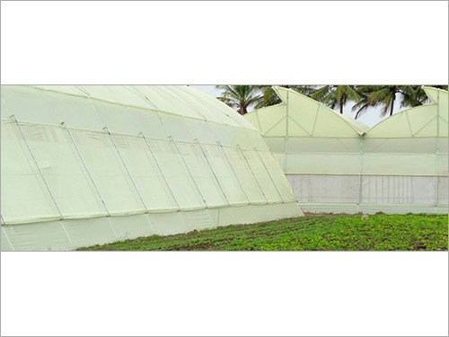 Transparent Poly Green House