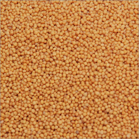 Mustard Seeds