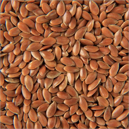 Muskmelon Seeds