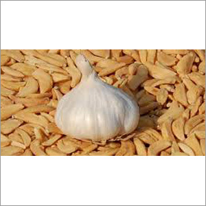 Dehydrated Garlic