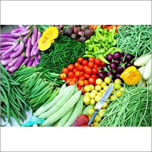 Fresh Vegetables