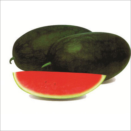 Kiran Watermelon