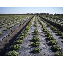 Agricultural Farms Mulch Film