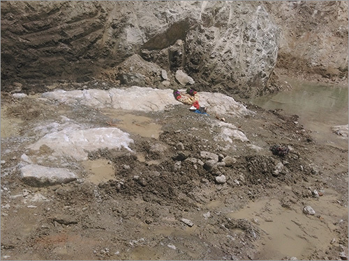 Quartz Snaps