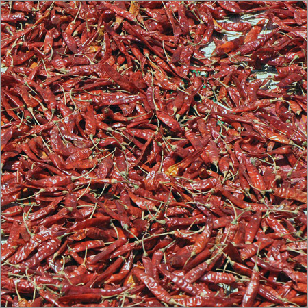 Dried Red Chilli