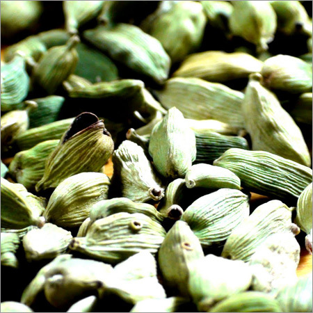 Cardamom