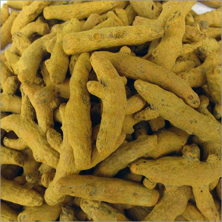 Turmeric Finger - Pure Turmeric, Finger-Shaped, Yellow | Natural Flavor, Versatile Spice, <10% Moisture, 12 Months Shelf Life