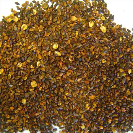 Malkangani Seeds