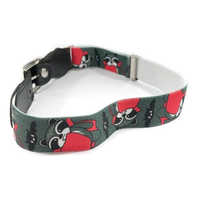 Kids Belt