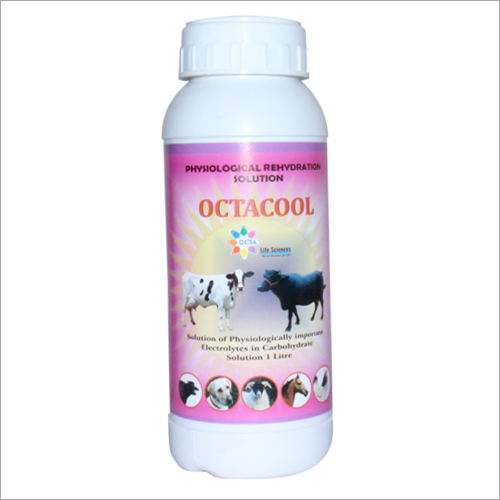 Cattle Feed Supplements