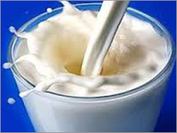 Organic Cow Milk