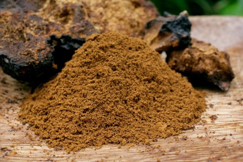 Natural chaga extract