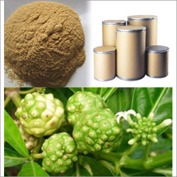 Noni Extract