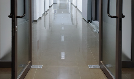 Floor spring (door)