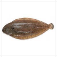 Sole Fish