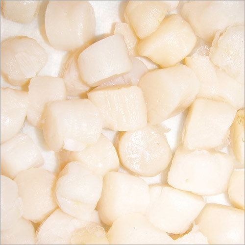 Scallops Seafood
